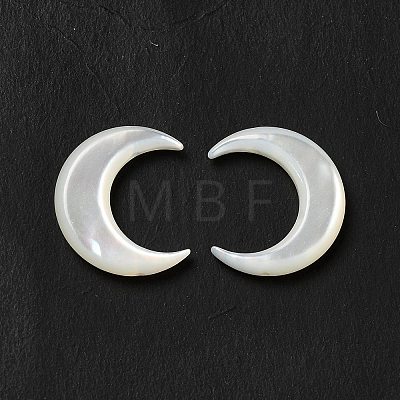 Natural White Shell Connector Charms BSHE-E026-04-1