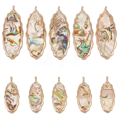 10Pcs 2 Styles Resin  Abalone Paua Shell Pendants FIND-BC0004-61-1