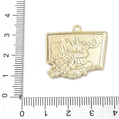 Alloy with Enamel Pendants AL-CBAE84A-02C-01-1