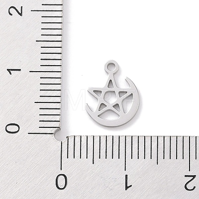 304 Stainless Steel Charms STAS-K286-01F-P-1