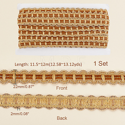 Polyester Curtain Lace Trimmer Ribbon DIY-WH0400-02C-1