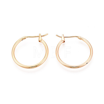304 Stainless Steel Hoop Earrings EJEW-T048-25B-G-1