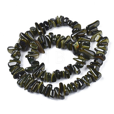 Natural Trochid Shell/Trochus Shell Beads Strands SHEL-S258-080-1