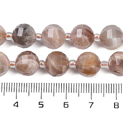 Natural Multi-Moonstone Beads Strands G-G182-B04-05-1