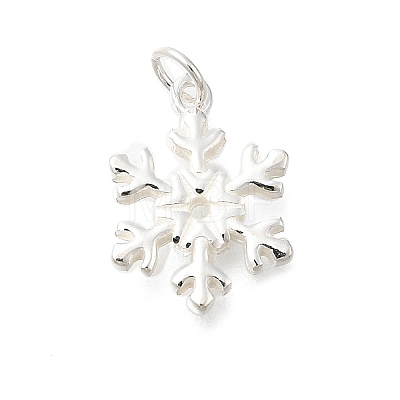 925 Sterling Silver Pendants STER-Q003-01F-S-1