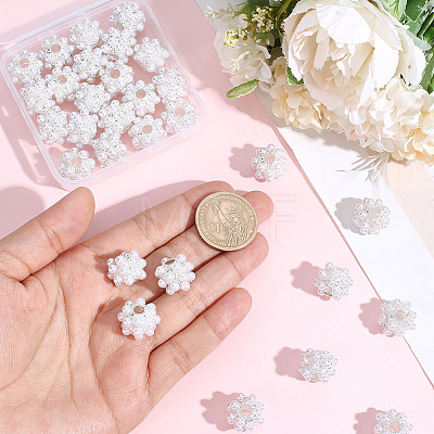 10Pcs Resin & Alloy European Beads FIND-PA0001-50-1