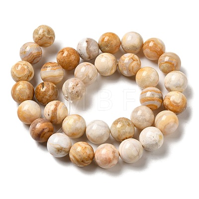 Natural Crazy Agate Beads Strands G-H298-A12-05-1