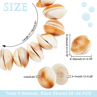   5 Strands  Natural Shell Beads Strands SSHEL-PH0001-17-1
