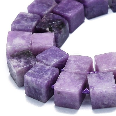 Natural Lepidolite/Purple Mica Stone Beads Strands G-K245-F01-01-1