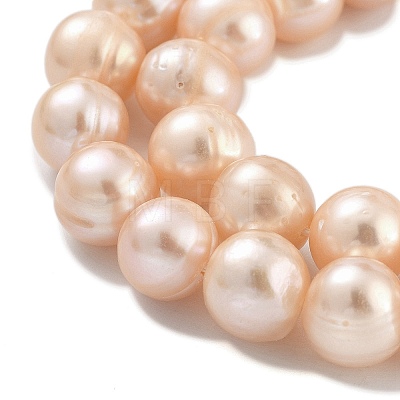 Natural Cultured Freshwater Pearl Beads Strands PEAR-C003-22C-1