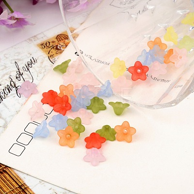 Mixed Color Frosted Transparent Acrylic Flower Beads X-M-PL554-1