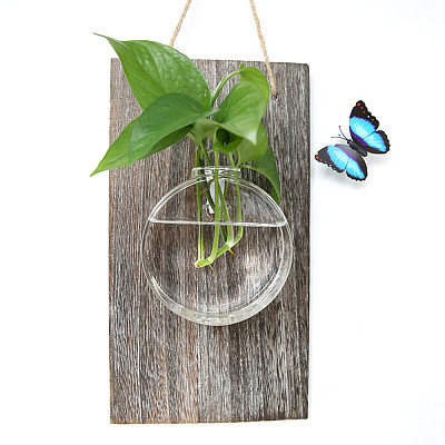 Transparent Glass Hydroponic Vase Wall Hanging Ornaments PW-WG47072-06-1