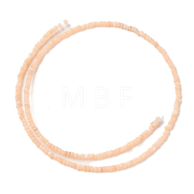 Natural Freshwater Shell Beads Strands SHEL-P017-01A-12-1