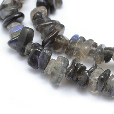 Natural Labradorite Beads Strands G-P332-54-1
