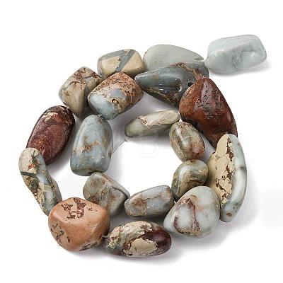 Natural Shoushan Stone Beads Strands G-D098-C05-1