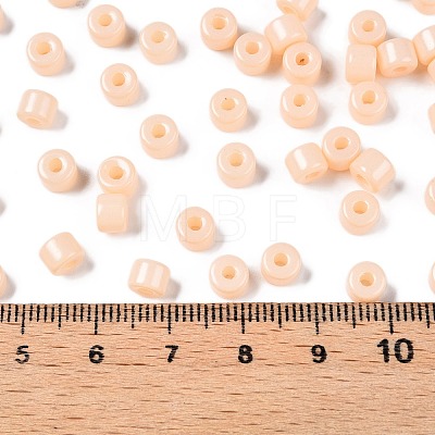 Opaque Baking Paint Glass Seed Beads X-SEED-T008-02C-1