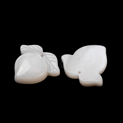 Natural White Shell Carved Fruit Pendants SHEL-G024-07-1