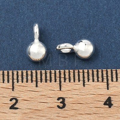 925 Sterling Silver Charms STER-H119-05B-S-1