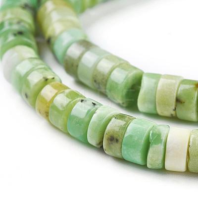 Natural Serpentine Beads Strands G-F612-03-1