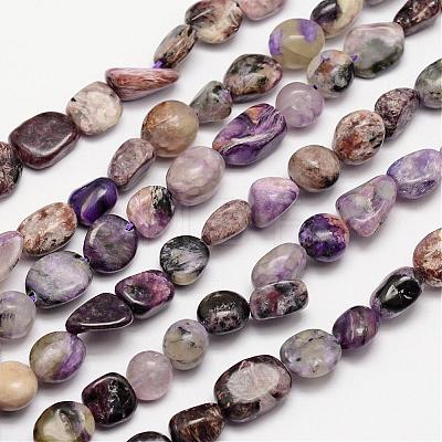 Natural Charoite Bead Strands G-L459-02-1