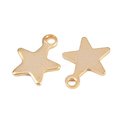 201 Stainless Steel Charms STAS-F039-04A-G-1