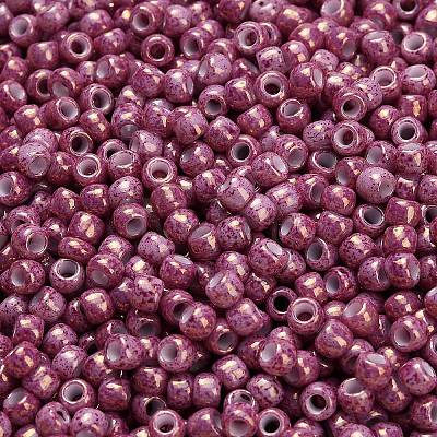 TOHO 6/0 Round Beads SEED-XTR06-1202-1