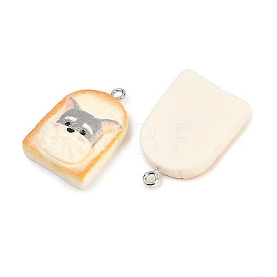 Resin Imitation Food Pendants RESI-D023-03-1
