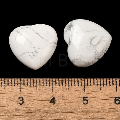 Natural Howlite Cabochons G-F776-02A-24-1