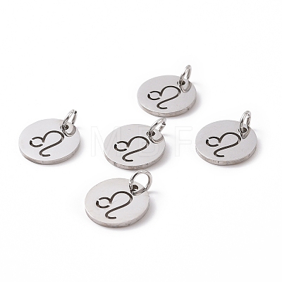 304 Stainless Steel Charms STAS-Q201-T445-5S-1