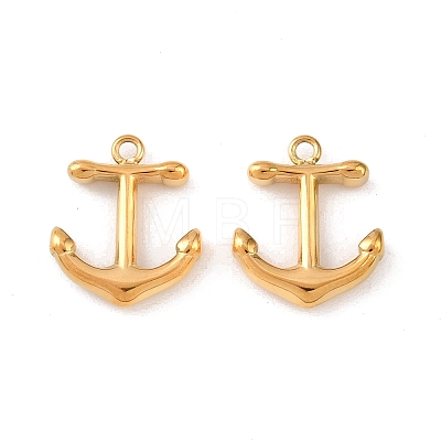 304 Stainless Steel Charms STAS-D390-35G-1