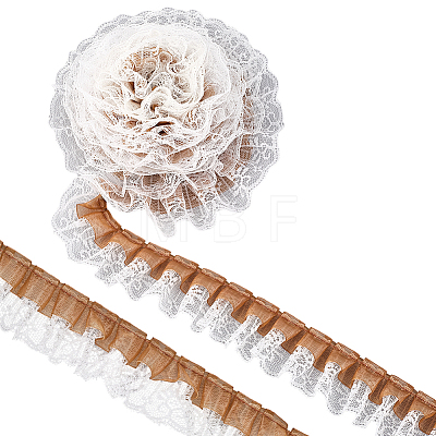 Polyester Lice Trim Ribbons SRIB-WH20020-054C-1