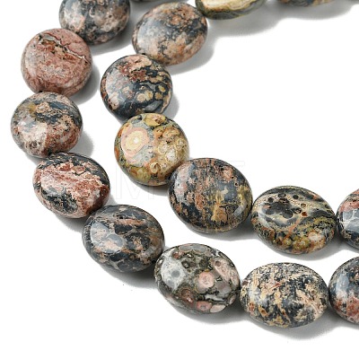 Natural Leopard Skin Jasper Beads Strands G-K365-B18-03-1