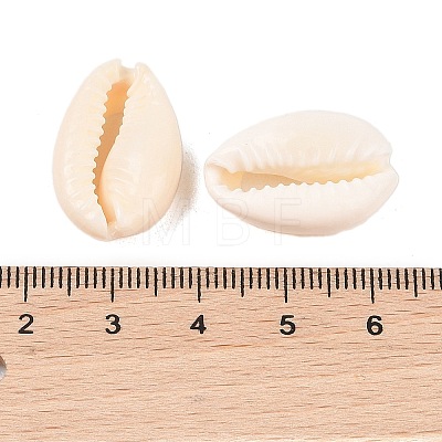 Natural Cowrie Shell Beads BSHE-Q296-1-1