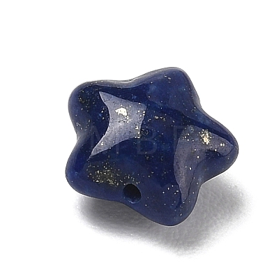 Natural Lapis Lazuli Beads G-T149-01F-1