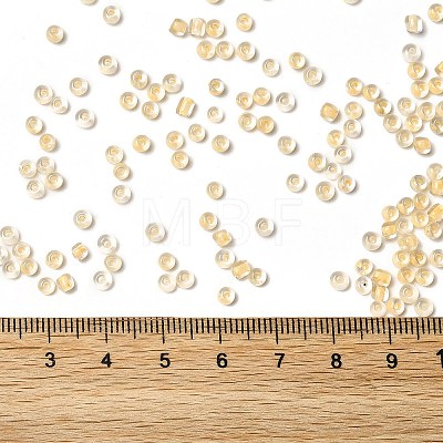 6/0 Transparent Glass Seed Beads SEED-F003-03A-14-1