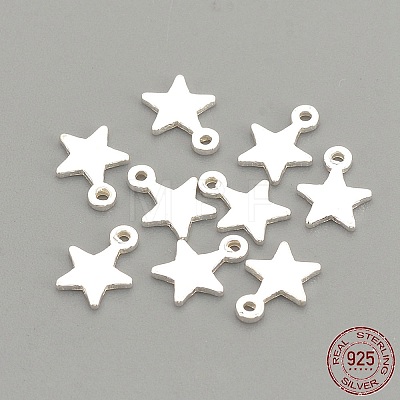 925 Sterling Silver Charms LS-STER-S002-30-1