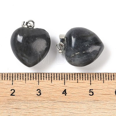 Natural Labradorite Pendants G-J386-H15-P-1