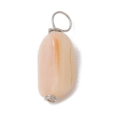 Natural Seashell Nuggets Charms PALLOY-JF02841-1