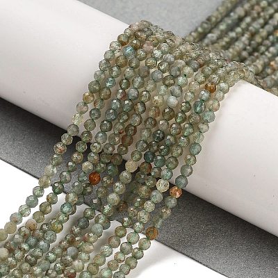 Natural Green Apatite Beads Strands G-G105-A05-01-1