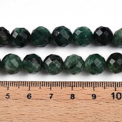 Natural Fuchsite Beads Strands G-S345-10mm-33-1