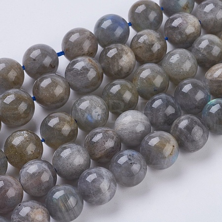 Natural Labradorite Beads Strands G-G212-10mm-23-1