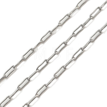 Tarnish Resistant 304 Stainless Steel Chains CHS-E031-01C-P-1