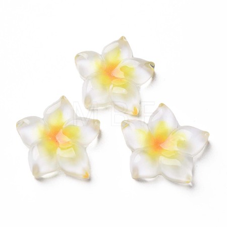 Transparent Epoxy Resin Cabochons CRES-S365-23A-1