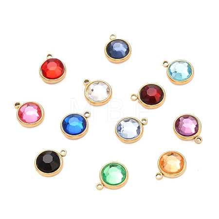304 Stainless Steel Charms STAS-I165-04A-G-1