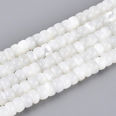 Natural Trochid Shell/Trochus Shell Beads Strands BSHE-T014-54A-1