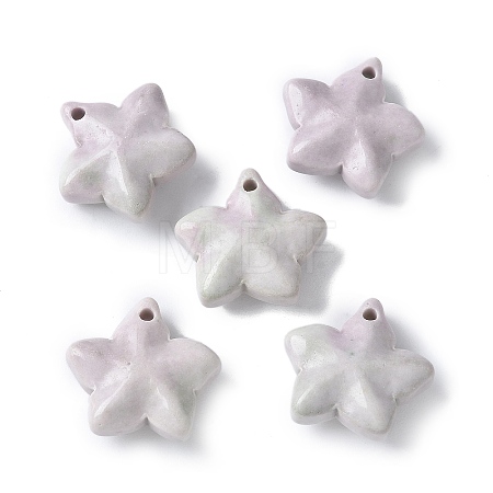 Natural Rainbow Alashan Agate Charms G-G194-02B-1