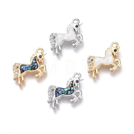 Natural Shell Charms KK-P182-O-1