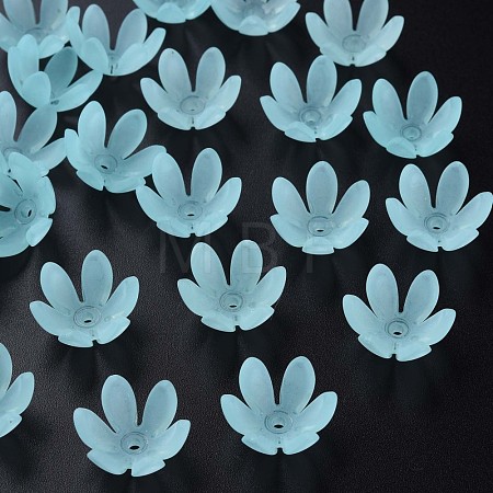 Transparent Acrylic Beads MACR-S373-47-D07-1