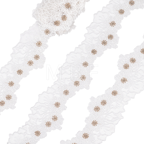 2M Polyester Embroidery Lace Trim DIY-WH0449-30B-1