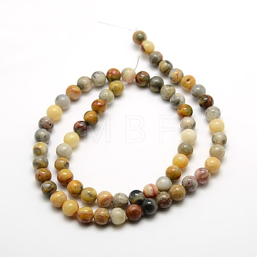 Round Natural Crazy Lace Agate Beads Strands G-P058B-01-1